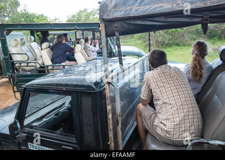 Touristen in Jeeps Staus beim Jagen Wildtiere, vor allem Leoparden in Packungen von Fahrzeugen. Yala National Park, Sri Lanka. Stockfoto