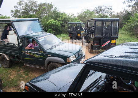 Touristen in Jeeps Staus beim Jagen Wildtiere, vor allem Leoparden in Packungen von Fahrzeugen. Yala National Park, Sri Lanka. Stockfoto