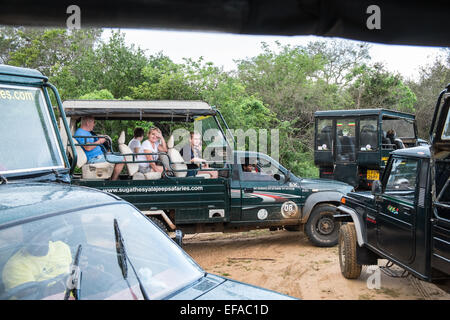 Touristen in Jeeps Staus beim Jagen Wildtiere, vor allem Leoparden in Packungen von Fahrzeugen. Yala National Park, Sri Lanka. Stockfoto