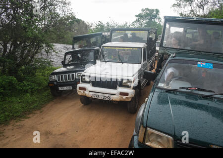 Touristen in Jeeps Staus beim Jagen Wildtiere, vor allem Leoparden in Packungen von Fahrzeugen. Yala National Park, Sri Lanka. Stockfoto