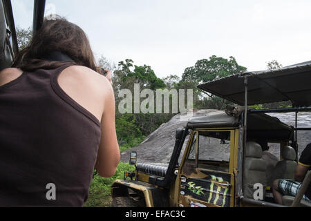 Touristen in Jeeps Staus beim Jagen Wildtiere, vor allem Leoparden in Packungen von Fahrzeugen. Yala National Park, Sri Lanka. Stockfoto