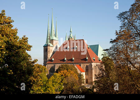 Str. Marys Kathedrale und St. Severus Kirche auf dem Domberg Hill in Erfurt, Thüringen, Deutschland Stockfoto