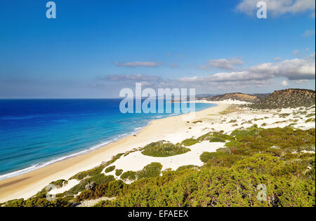 Golden Beach-die besten Strand von Zypern, Karpas Halbinsel, Nord-Zypern Stockfoto