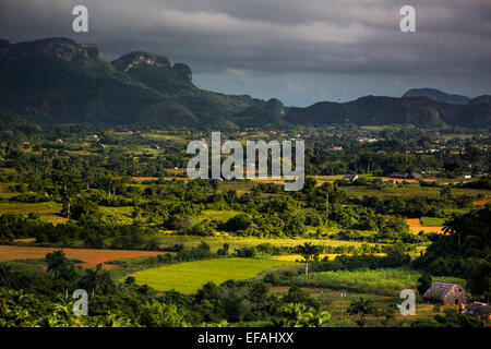 Tabakfeldern und die Mogotes Karstberge, Valle de Viñales, Viñales, Provinz Pinar Del Rio, Kuba Stockfoto