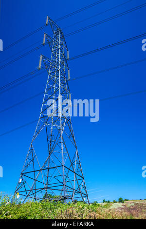 Ein Strommast vor einem wolkenlosen blauen Himmel. Stockfoto