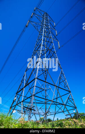 Ein Strommast vor einem wolkenlosen blauen Himmel. Stockfoto