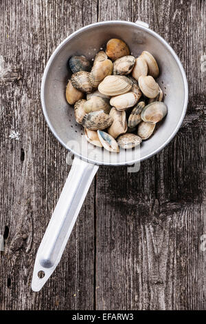 Roher Muscheln Vongole in Sieb auf hölzernen Hintergrund Stockfoto