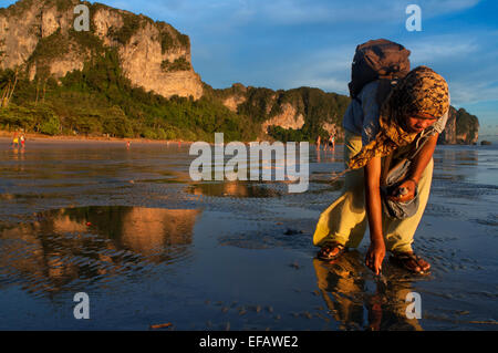 Frau bei Sonnenuntergang mit der Ebbe Muscheln auf Happy Island, Hut Phra Nang Beach, Railay, Provinz Krabi, Thailand, Süd Stockfoto