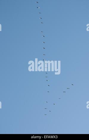 fliegen die Vögel Schlüssel auf Hintergrund des Himmels Stockfoto