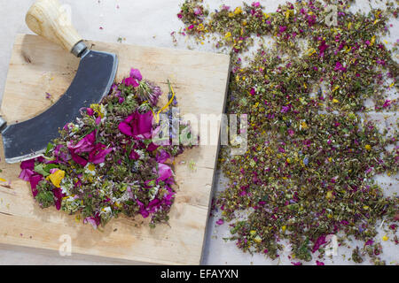 Blüten, Blumen, Blüten, Blütenblätter, affektierte Messer-Wiege Schaukeln Werkzeug, Essbare Blüten, Blumen, Ernte, Wiegemesser, Messer Stockfoto