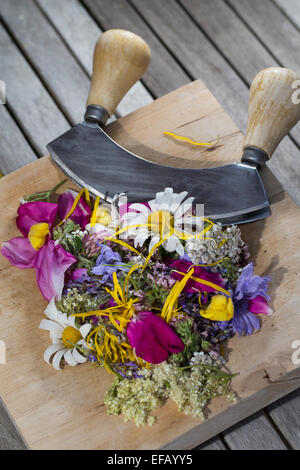 Blüten, Blumen, Blüten, Blütenblätter, affektierte Messer-Wiege Schaukeln Werkzeug, Essbare Blüten, Blumen, Ernte, Wiegemesser, Messer Stockfoto