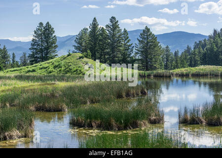 Teich an der Biber Teiche Trail, Yellowstone National Park, Wyoming, USA Stockfoto