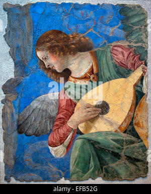 Angel Musician (Fresko), Forli, Melozzo da (1438-94) Pinakothek Vatikan Rom Italien Stockfoto