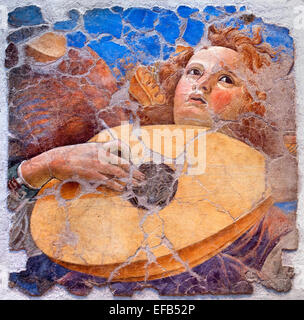 Engel der Laute von Forli, Melozzo da (1438-94) italienische Pinacoteca Vatican Museum Rom Italien Stockfoto