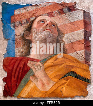 Apostel 1480-84 Forli, Melozzo da (1438-94) italienische Pinacoteca Vatican Museum Rom Italien Stockfoto