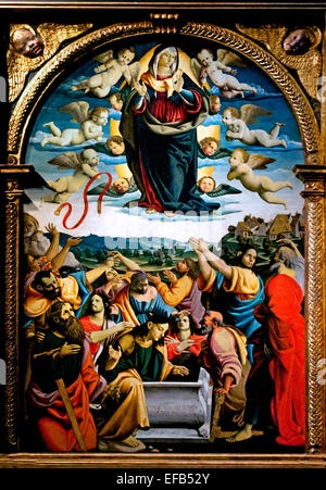 Mariä Himmelfahrt mit dem Heiligen Laurence Benedikt Maria Magdalene & Scolastica - Cola dell'Amatrice ( Nicola Filosesio detto Amatriche ) 1480-1559 Pinacoteca Vatikanmuseum Rom Italien. Stockfoto