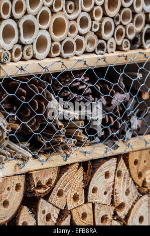 Insektenhotel bietet künstliche Nester Einrichtungen für Solitäre Bienen in hohle Bambusstämme und Bohrungen in hölzernen Maschinenbordbüchern Stockfoto