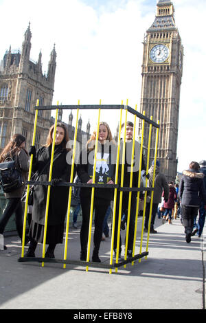 London, UK. 30. Januar 2015. Mitglieder von Amnesty International halten ein Gefängnis gegenüber der Houses of Parliament zur Unterstützung von Inhaftierten Saudi Blogger Raif Badawi zu verlagern. Bildnachweis: Amer Ghazzal/Alamy Live-Nachrichten Stockfoto