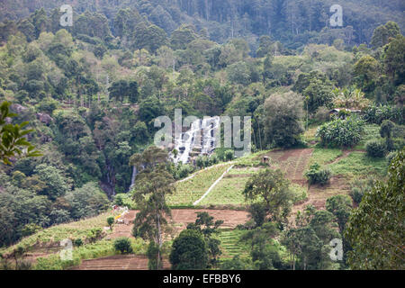 Bei Stadt Ella im Hochland von Sri Lanka. Berühmt für die Teeplantagen und Wander- und grüne Landschaft. Ravana Wasserfall. Stockfoto