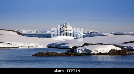 Kreuzfahrtschiff in der Antarktis Stockfoto