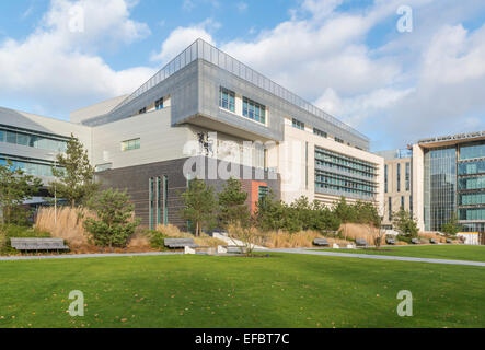 Parkside Campus für Birmingham City University im Bereich Eastside von Birmingham, England Stockfoto