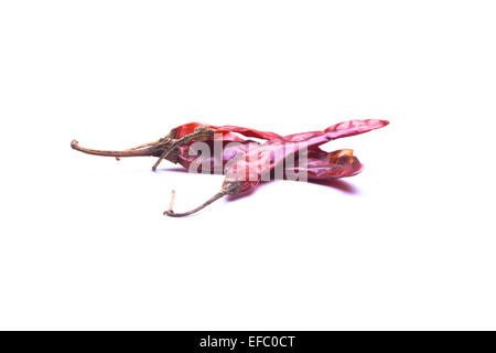 Getrocknete Chilischoten Stockfoto