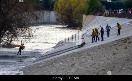 Los Angeles, Kalifornien, USA. 30. Januar 2015. Ein Hund in Los Angeles River gefangen wurde durch Los Angeles Fire Dept und Park Rangers Kredit gerettet: Chester Brown/Alamy Live News Stockfoto