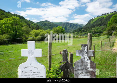 Historische Grabsteine und eine Aussicht auf das Tal an Glendalough, Irland Stockfoto