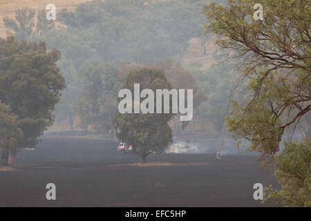 Ein Foto von den Nachwirkungen des ein Buschfeuer auf einer trockenen australischen Farm im zentralen westlichen NSW. Stockfoto