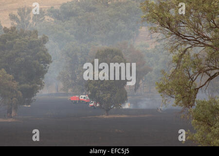 Ein Foto von den Nachwirkungen des ein Buschfeuer auf einer trockenen australischen Farm im zentralen westlichen NSW. Stockfoto