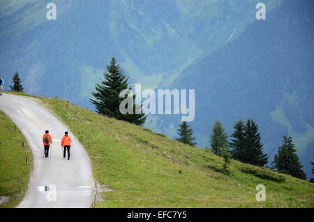 Penkenalm Ahorn Bergen, Zillertal Tirol Österreich Stockfoto