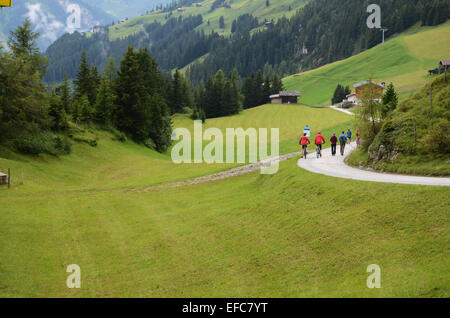 Penkenalm Ahorn Bergen, Zillertal Tirol Österreich Stockfoto