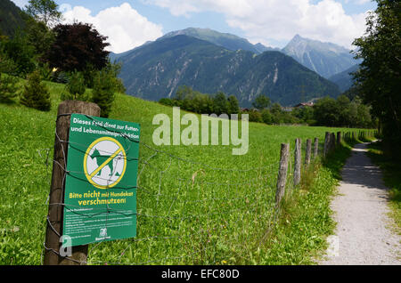 Melden Sie sich an Ahorn-Berge in der Nähe von Mayrhofen, Tirol-Österreich Stockfoto