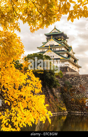 Burg von Osaka in Osaka mit Herbstlaub. Japan. Stockfoto