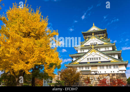 Burg von Osaka in Osaka mit Herbstlaub. Japan. Stockfoto