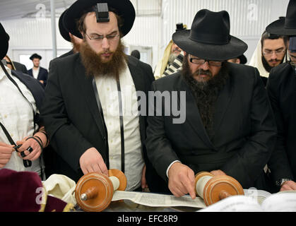 Thora lesen, während ein Morgengebet in der Synagoge Ohel in Queens, New York Stockfoto