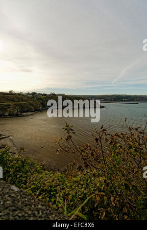 Fishguard (übersetzt in Walisisch als: Abergwaun, was bedeutet "Mündung des Flusses Gwaun") ist eine Küstenstadt in Pembrokeshire, SW Wales Stockfoto