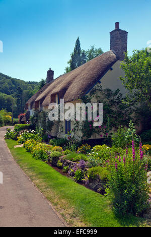 Einer malerischen strohgedeckten Haus und Garten in Dunster, Somerset, England, UK Stockfoto