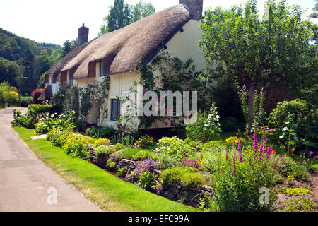 Einer malerischen strohgedeckten Haus und Garten in Dunster, Somerset, England, UK Stockfoto