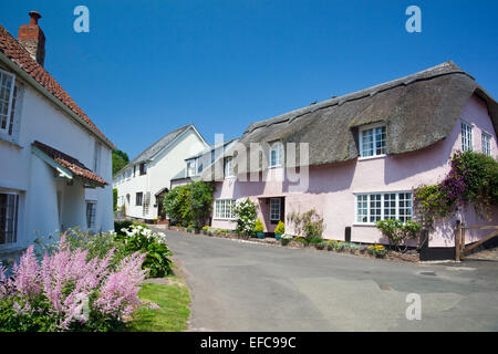 Ein malerisches Reetdachhaus in Dunster, Somerset, England, UK Stockfoto
