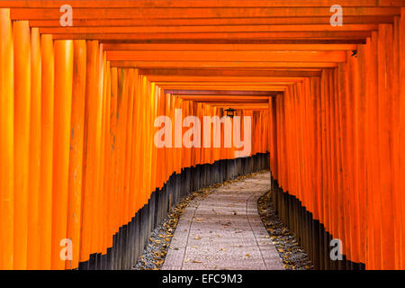 Fushimi Inari-Taisha-Schrein in Kyōto, Japan Stockfoto