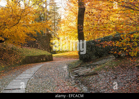 Herbstfarben in den Park von Heiligen Mount Orta, Piemont Stockfoto