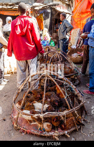 Lebende Hühner zum Verkauf In den Merkato, Addis Ababa, Äthiopien Stockfoto