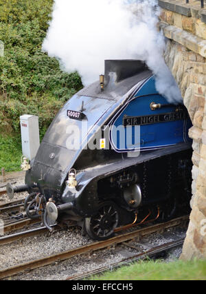 Klasse A4 Pacific keine 60007 Sir Nigel Gresley entstehen unterhalb der Straßenbrücke am Bahnhof Goathland Pickering gebunden. Stockfoto