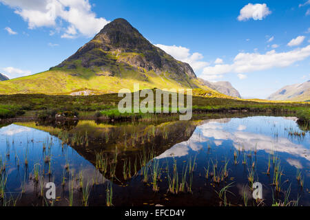 Der Buachaille Etive Beag spiegelt sich in einem man an einem seltenen sonnigen Tag, in der Nähe von Glencoe Stockfoto