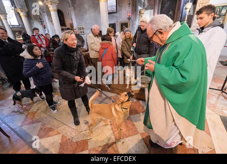 Eigentümer mit ihren Haustieren besuchen einen speziellen Service mit einem Segen Tiere, Kirche von S Giovanni Battista, Venedig, Italien Stockfoto