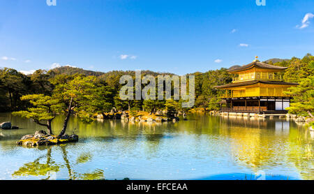 Kinkakuji (Goldener Pavillon), ein Zen-Tempel in Kyoto, Nordjapan. Stockfoto