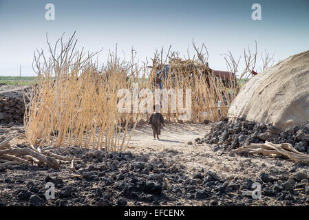 Dorf in der Danakil-Senke-Wüste in Äthiopien Stockfoto