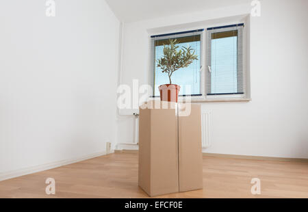 Kartons in einer leeren Wohnung. Umzug in eine neue Wohnung Sackkarre Stockfoto