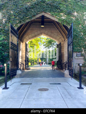 Tor zum Campus der University of Chicago im Parkbereich Hyde von Chicago, IL, USA. Stockfoto